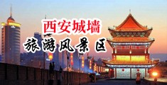 吊逼逼逼中国陕西-西安城墙旅游风景区